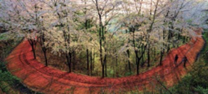 Gyejok Mountain Red Clay Trail
