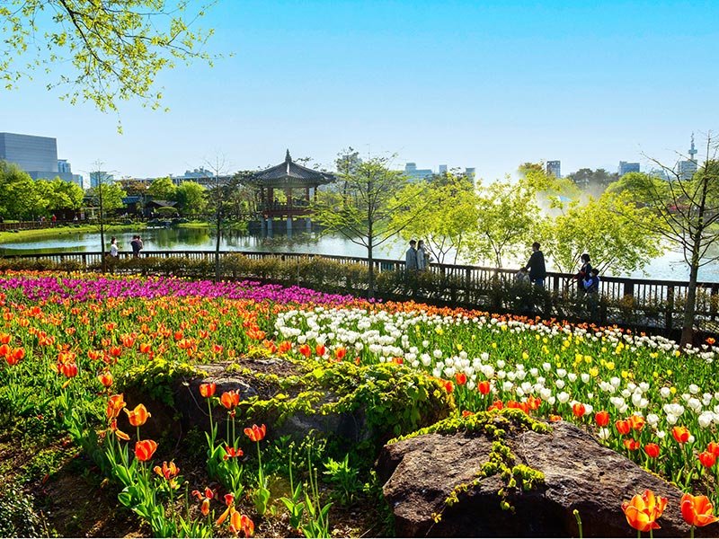 Hanbat Arboretum